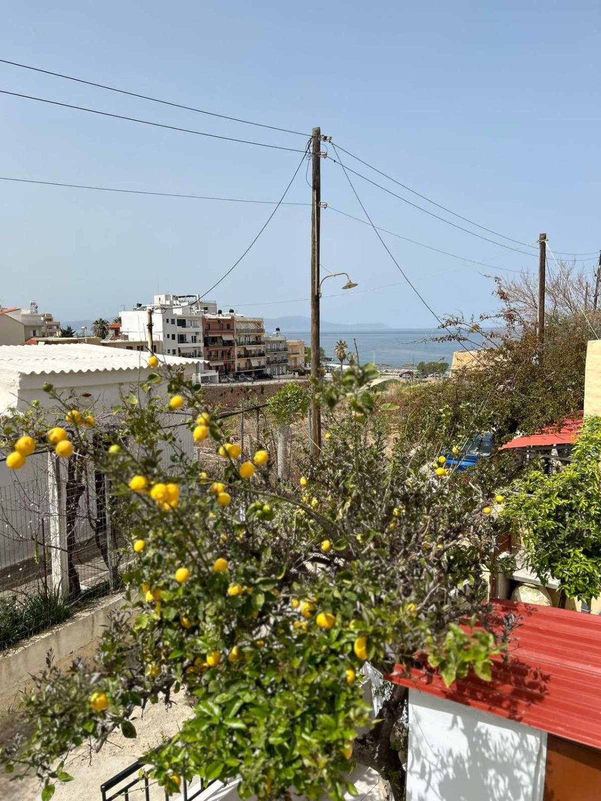 חאניה Sofias Home מראה חיצוני תמונה